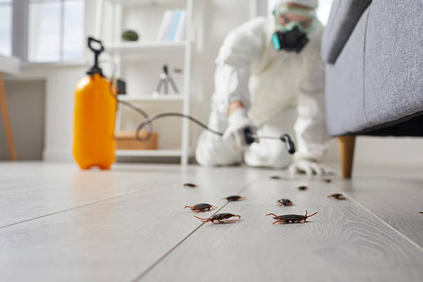 Commercial Kitchen Cockroach Control in Lemont Furnace